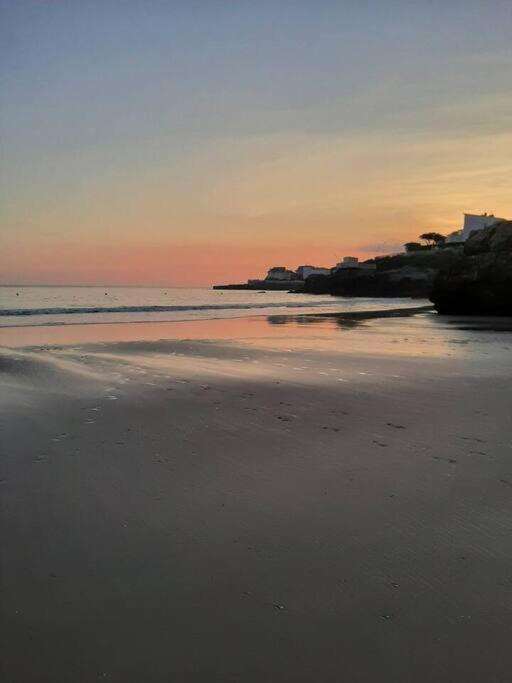 On Waves : Studio Calme, Proche Plages Et Centre Apartment